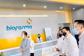 Indonesia aims to produce coronavirus vaccine by mid-2021