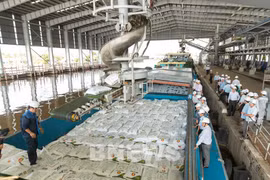 Ca Mau fertiliser plant’s urea output hits 7 million tonnes after ten years