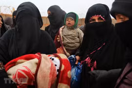 Vietnam calls for more humanitarian support for Syria 