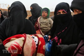 Vietnam calls for more humanitarian support for Syria 
