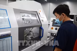 Dong Nai seeks ways to bolster support industries