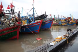 Meeting held to direct response to Storm Sinlaku 