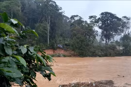 Four killed, two missing as flash floods hit Central Highlands, South Central regions