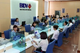Reference exchange rate up 11 VND
