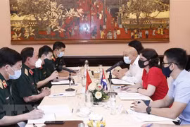 Vietnam, Cuba seek ways to intensify medical cooperation 