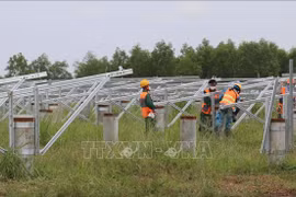 Binh Phuoc’s biggest solar power project to join national grid in December