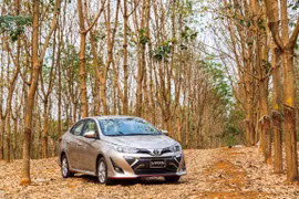 Automobile sales down in first seven months