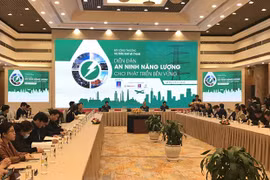 Forum on energy security for sustainable development held