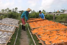 Craft villages busy as Tet countdown begins