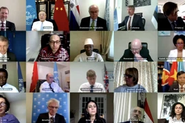 Vietnam calls on international community to help Syria cope with COVID-19