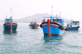 Ninh Thuan popularises Fisheries Law among fishermen to fight IUU fishing 