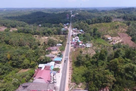 Indonesia hires three int’l consulting firms for capital relocation project