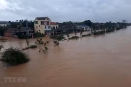 US announces assistance to Vietnam to cope with storm aftermaths