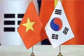 Vietnam, RoK look to boost partnership