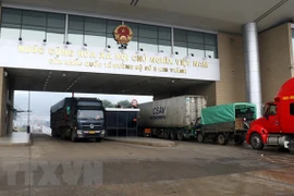 Over 6,500 tonnes of farm produce exported via Lao Cai border gate 