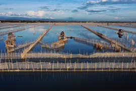Nature reserve founded in Thua Thien-Hue province