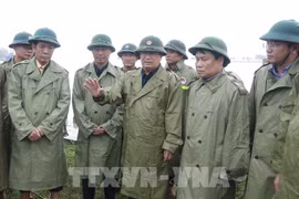 Front steering committee established as Storm Molave approaches
