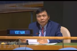 Vietnam urges parties in Central Africa to respect peace agreement 