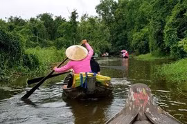 Dong Thap province to focus on boosting tourism