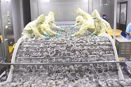 Vietnam's export growth expected at 3-4 percent this year