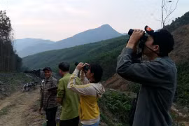Strict patrol set for protection of endangered langurs from COVID-19
