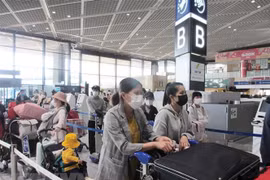 Vietnamese citizens brought home from Japan 