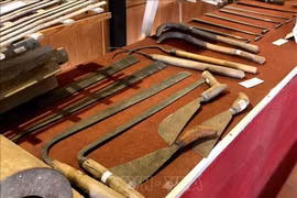 Vietnamese farmers’ creativity to be showcased in museum