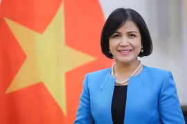 Vietnam boosts cooperation with Geneva Int’l Centre for Humanitarian Demining