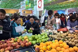 Goods demand for Tet up due to domestic confidence on economic recovery
