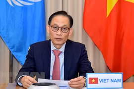 Vietnam stresses need to observe law of the sea at UNSC’s open debate