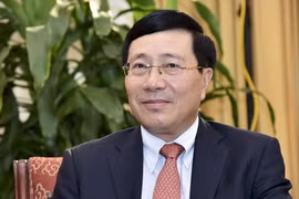 UNSC presidency – “golden chance” for Vietnam: Deputy PM 