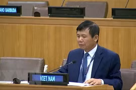 Int’l cooperation, solidarity key to COVID-19 response: Ambassador