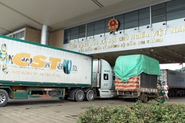 Exports of some farm produce via Lao Cai border gate surge in Q1