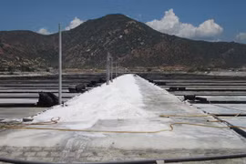 Ninh Thuan to become country’s top salt producer