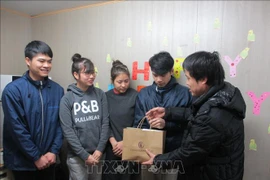 Vietnamese becomes third largest foreign community in Japan 
