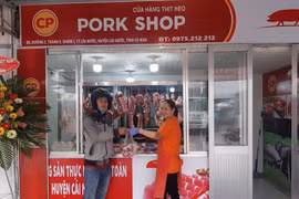 CP Vietnam builds largest pig slaughter plant in northern region