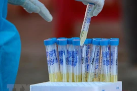No new COVID-19 cases to report on Nov. 7 evening