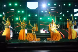 Da Nang celebrates New Year 2021 with arts programme