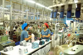 Vietnam to have 12 ecosystems with revenue of 100 billion USD: McKinsey
