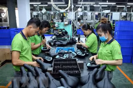 EVFTA may boost Vietnam-Poland trade ties