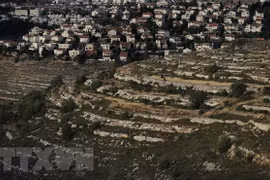  Vietnam calls on Israel to cease expansion of settlement areas 