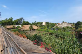 Zero-waste communities start to emerge in Hoi An