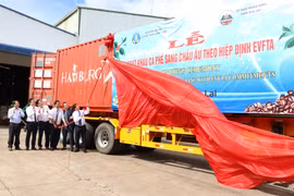 Vietnam ships first batch of coffee to EU under EVFTA