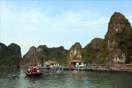 Quang Ninh: Tourism promotion efforts pay off