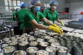 Taxation sector fulfils 60 percent of tax collection estimate