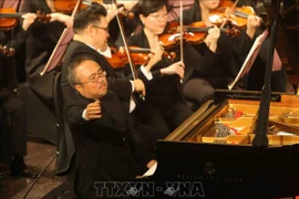 Pianist Dang Thai Son to be judge at int’l piano contest 