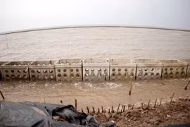 Tien Giang speeds work to protect eastern sea dyke