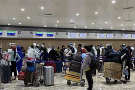 COVID-19: Vietnamese expatriates in Philippines return home