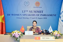 Parliaments urged to promote role in ending violence against women