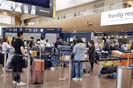 Over 300 Vietnamese flown home from European countries 